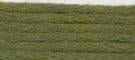 Needlepoint Silk Floss - 547 - Renaissance Green Range