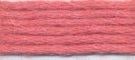 Needlepoint Silk Floss - 572 - Melon Range