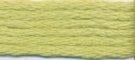 Needlepoint Silk Floss - 651 - Acid Green Range