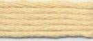 Needlepoint Silk Floss - 868 - Pumpkin Range