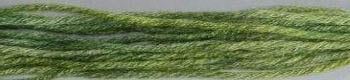 Gloriana 12 ply Stranded Silk 6 yard skeins - #200 Leaf Green