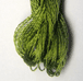 Rajmahal Art Silk Stranded Rayon - 521 Maidenhair