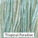 Stranded Cotton - Classic Colourworks - Tropical Paradise