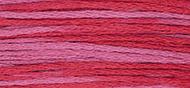 OverDyed Cotton - Weeks Dye Works 5 yard skein - Begonia #2263