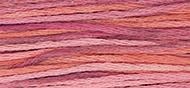 OverDyed Cotton - Weeks Dye Works 5 yard skein - Berry Splash #4153