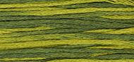 OverDyed Cotton - Weeks Dye Works 5 yard skein - Bullfrog #2202