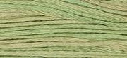 OverDyed Cotton - Weeks Dye Works 5 yard skein - Butter Bean #1189
