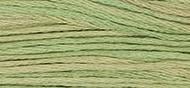 OverDyed Cotton - Weeks Dye Works 5 yard skein - Butter Bean #1189
