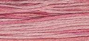 OverDyed Cotton - Weeks Dye Works 5 yard skein - Camellia #2276