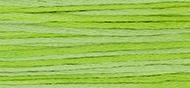 OverDyed Cotton - Weeks Dye Works 5 yard skein - Chartreuse #2203