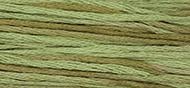 OverDyed Cotton - Weeks Dye Works 5 yard skein - Celadon #1261
