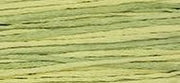 OverDyed Cotton - Weeks Dye Works 5 yard skein - Citronella #2210