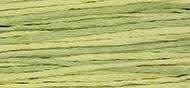 OverDyed Cotton - Weeks Dye Works 5 yard skein - Citronella #2210