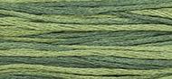 OverDyed Cotton - Weeks Dye Works 5 yard skein - Collards #1277