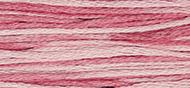 OverDyed Cotton - Weeks Dye Works 5 yard skein - Crepe Myrtle #2275