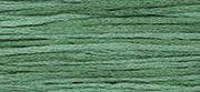 OverDyed Cotton - Weeks Dye Works 5 yard skein - Cypress #2153