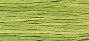 OverDyed Cotton - Weeks Dye Works 5 yard skein - Daffodil #1119