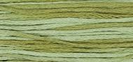 OverDyed Cotton - Weeks Dye Works 5 yard skein - Dried Sage #1191
