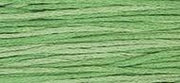 OverDyed Cotton - Weeks Dye Works 5 yard skein - Emerald #2171