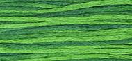 OverDyed Cotton - Weeks Dye Works 5 yard skein - Envy #2173