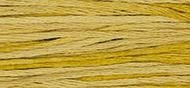 OverDyed Cotton - Weeks Dye Works 5 yard skein - Gold #2221