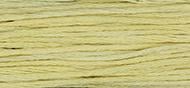 OverDyed Cotton - Weeks Dye Works 5 yard skein - Goldenrod #1118