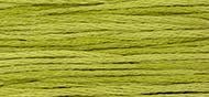 OverDyed Cotton - Weeks Dye Works 5 yard skein - Grasshopper #2205