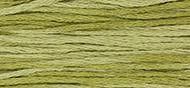 OverDyed Cotton - Weeks Dye Works 5 yard skein - Guacamole #1193