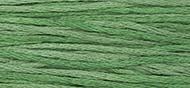 OverDyed Cotton - Weeks Dye Works 5 yard skein - Hunter #2156