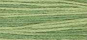 OverDyed Cotton - Weeks Dye Works 5 yard skein - Ivy #2198