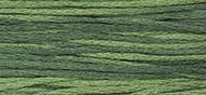 OverDyed Cotton - Weeks Dye Works 5 yard skein - Juniper #2158