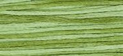 OverDyed Cotton - Weeks Dye Works 5 yard skein - Meadow #2176