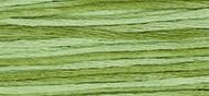 OverDyed Cotton - Weeks Dye Works 5 yard skein - Meadow #2176