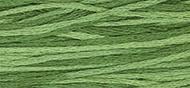 OverDyed Cotton - Weeks Dye Works 5 yard skein - Monkey Grass #2168