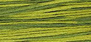 OverDyed Cotton - Weeks Dye Works 5 yard skein - Moss #2201