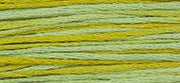 OverDyed Cotton - Weeks Dye Works 5 yard skein - Pistachio #2206