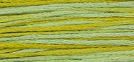 OverDyed Cotton - Weeks Dye Works 5 yard skein - Pistachio #2206