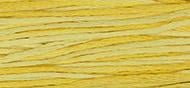 OverDyed Cotton - Weeks Dye Works 5 yard skein - Saffron #2223
