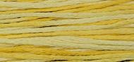 OverDyed Cotton - Weeks Dye Works 5 yard skein - Sally's Sunshine #2218