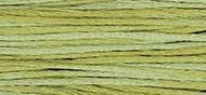 OverDyed Cotton - Weeks Dye Works 5 yard skein - Scuppernong #2196