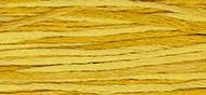 OverDyed Cotton - Weeks Dye Works 5 yard skein - Squash #2224