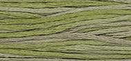 OverDyed Cotton - Weeks Dye Works 5 yard skein - Thyme #1256