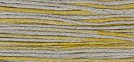 OverDyed Cotton - Weeks Dye Works 5 yard skein - Shasta #1116