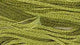 Stranded Cotton - Classic Colourworks - Avocado