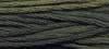 Stranded Cotton - Classic Colourworks - Desert Mesquite