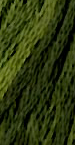 Sampler Threads by The Gentle Art - 5 yd Skeins - Green with Envy #0196