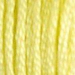 DMC Stranded Cotton - 11