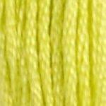 DMC Stranded Cotton - 12