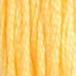 DMC Stranded Cotton - 19