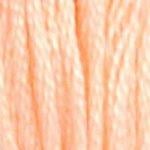 DMC Stranded Cotton - 20